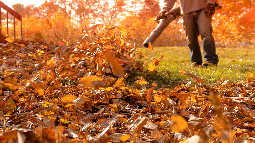 Blowing Leaves Cleanup Services in Lincs Blowing Leaves Cleanup Services in Lincs