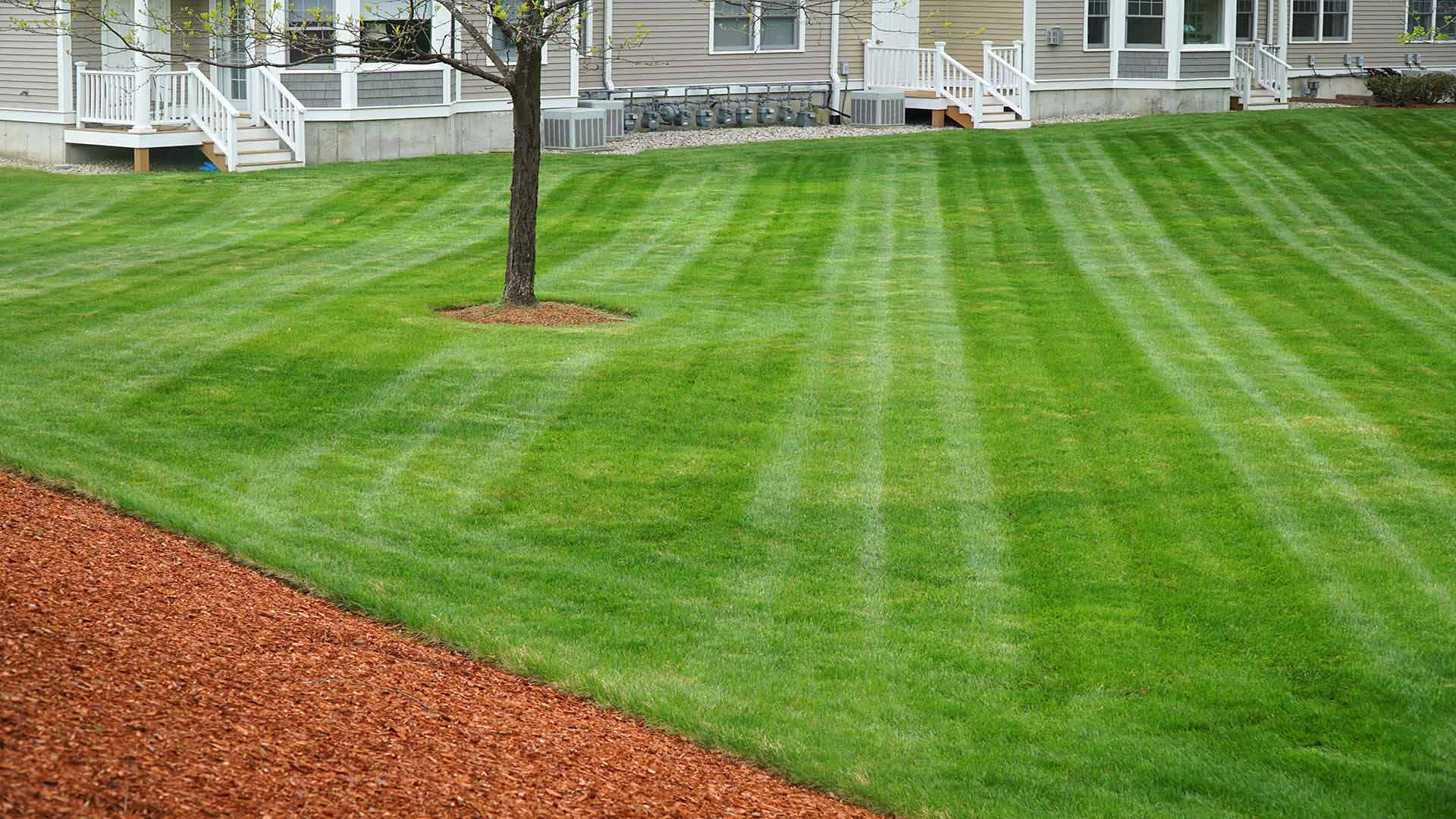 Healthy Grass with Apartments Complex Healthy Grass with Apartments Complex