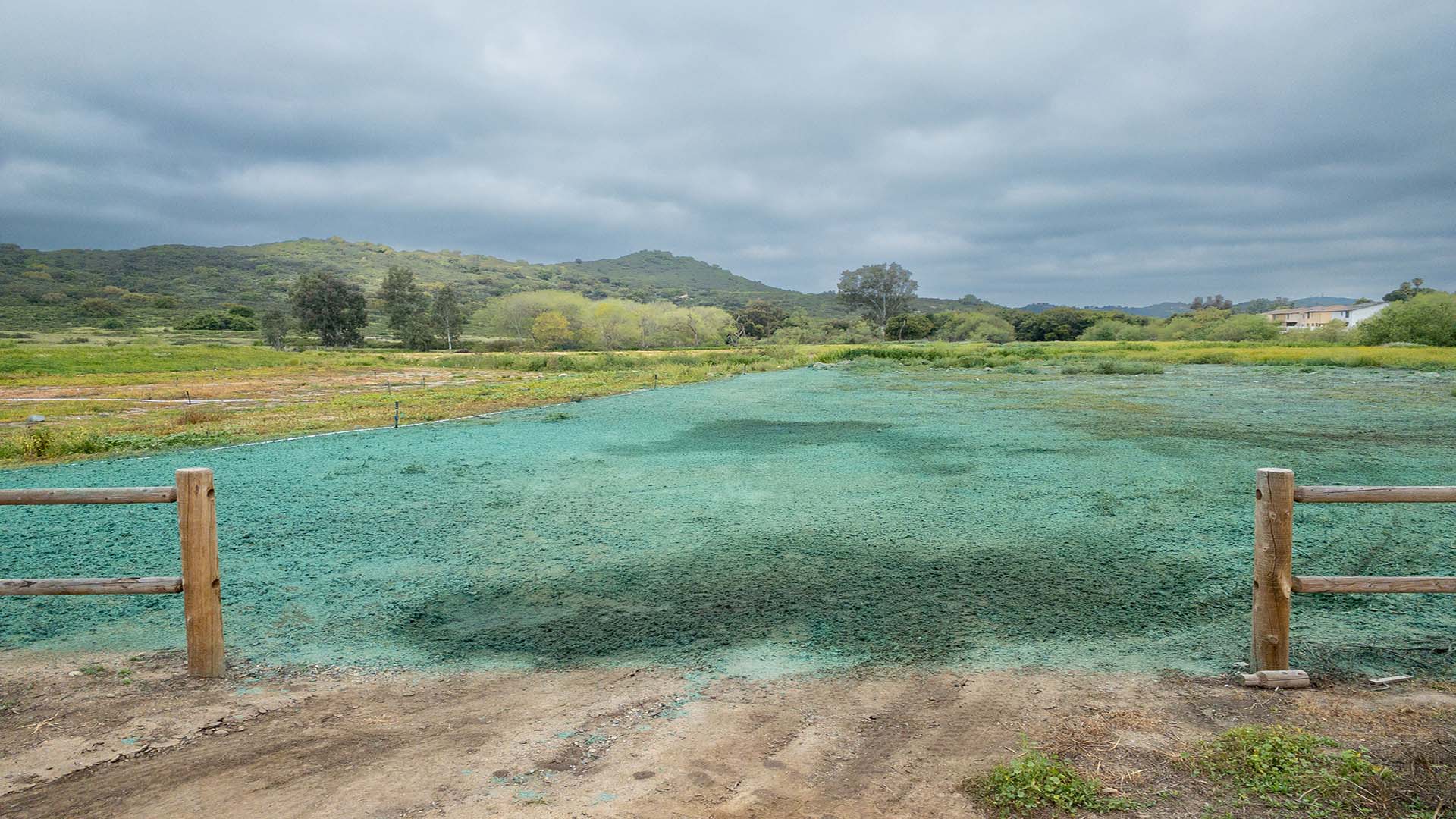 Hydroseeding with Linc's Hydroseeding with Linc's