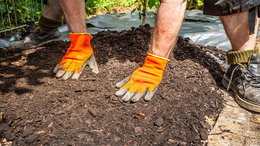 Mulching Services in Western North Carolina Mulching Services in Western North Carolina