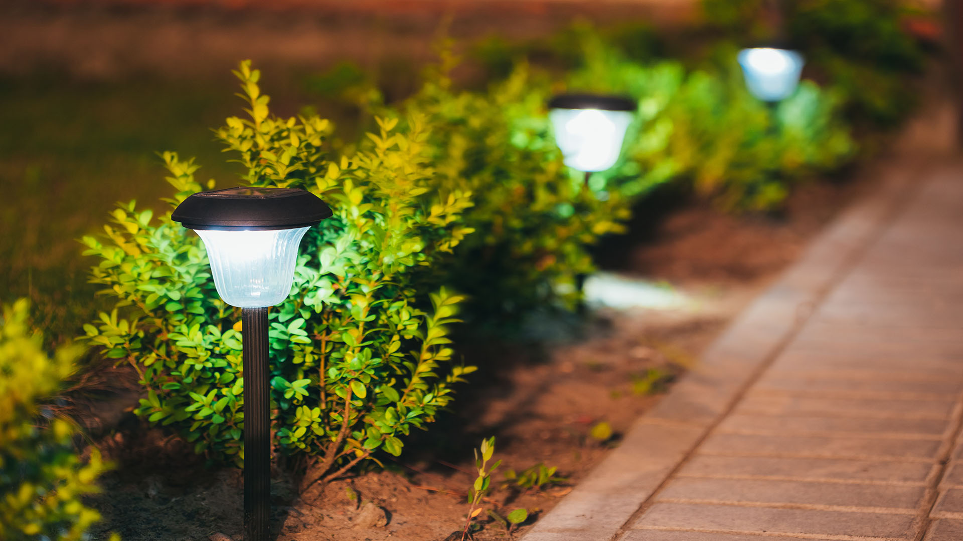 Pathway Garden lights Pathway Garden lights