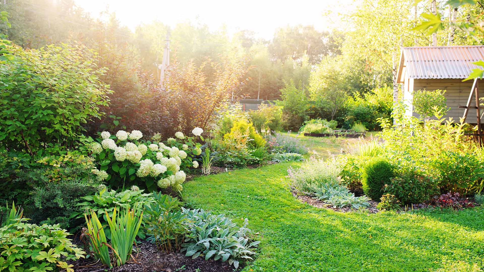 Plant Installation with Lincs Plant Installation with Lincs