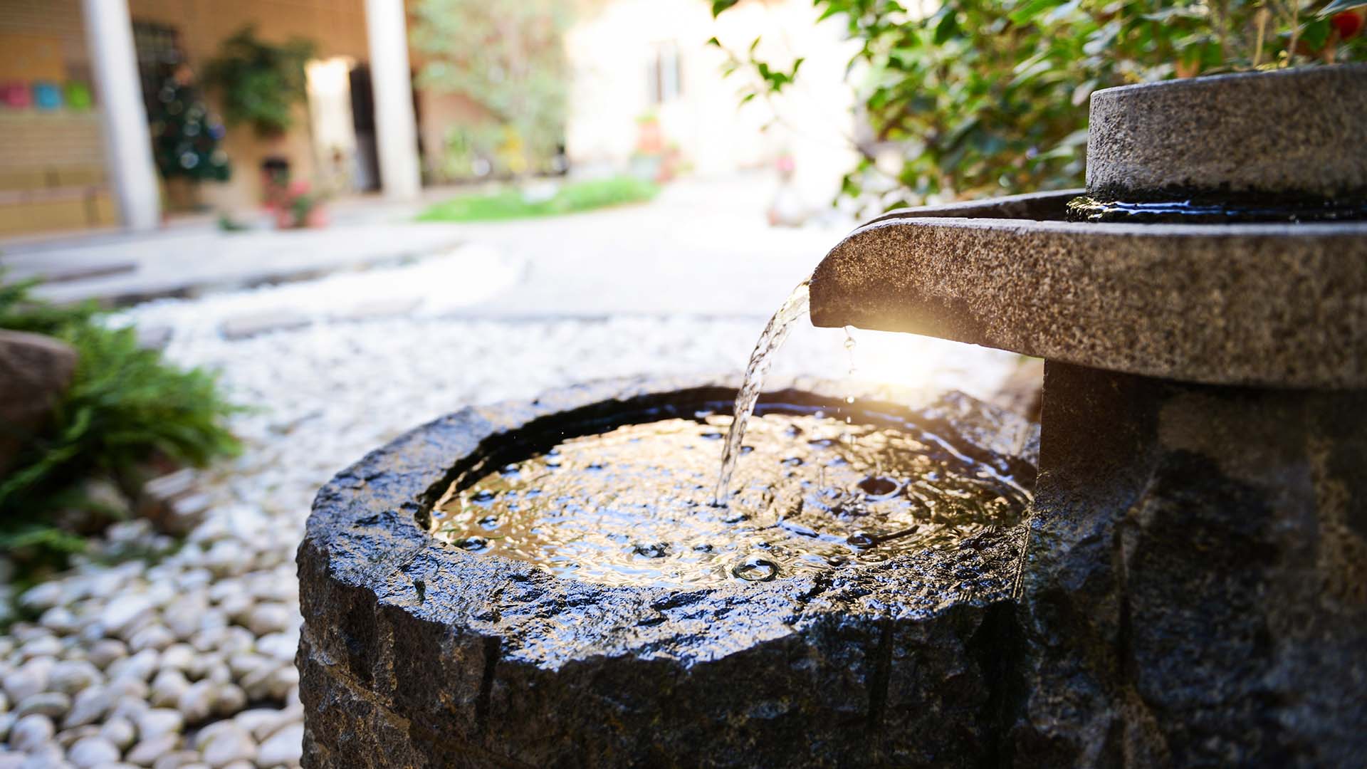 Water Fountain Water Fountain