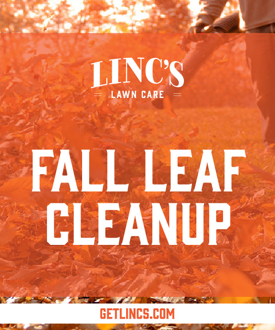 A person is raking leaves on a lawn, capturing the essence of all seasons lawn maintenance. Lincs Lawn Care is prominently displayed at the top, while Fall Leaf Cleanup stands boldly in white. At the bottom, GETLINCS.COM is highlighted on an orange and white backdrop.