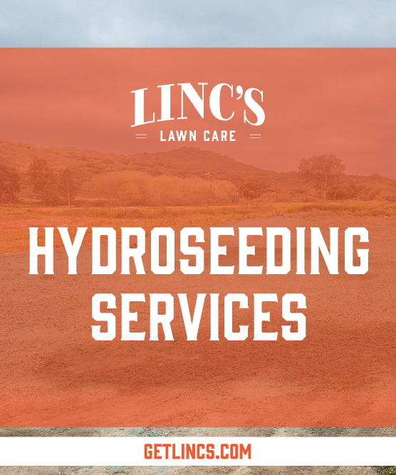 Image of an advertisement for Lincs Lawn Care featuring hydroseeding services. The ad, tinted with a red-orange filter, showcases a landscape backdrop. Promoting year-round expertise in all seasons lawn maintenance, the website GETLINCS.COM is displayed at the bottom.