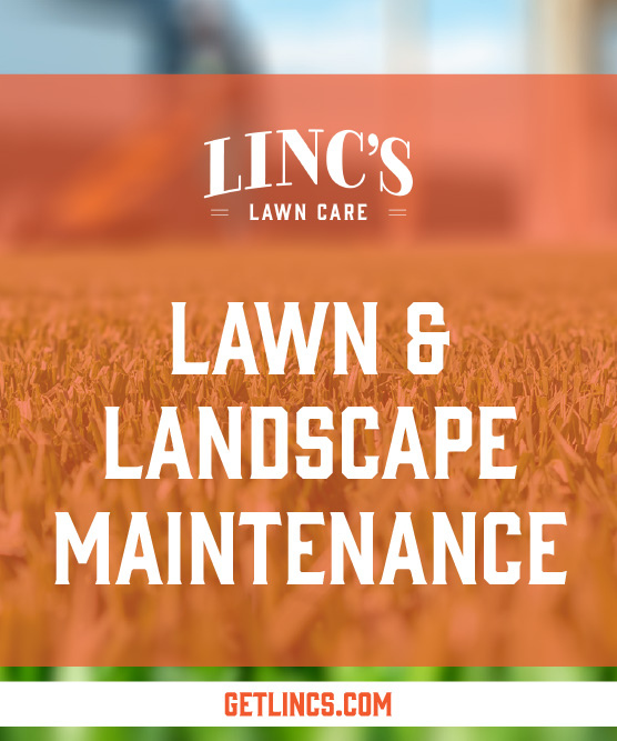 The image displays a blurred green grass background with the text LINCS LAWN CARE and ALL SEASONS LAWN MAINTENANCE in crisp white lettering. At the bottom, a website URL is prominently featured: GETLINCS.COM.