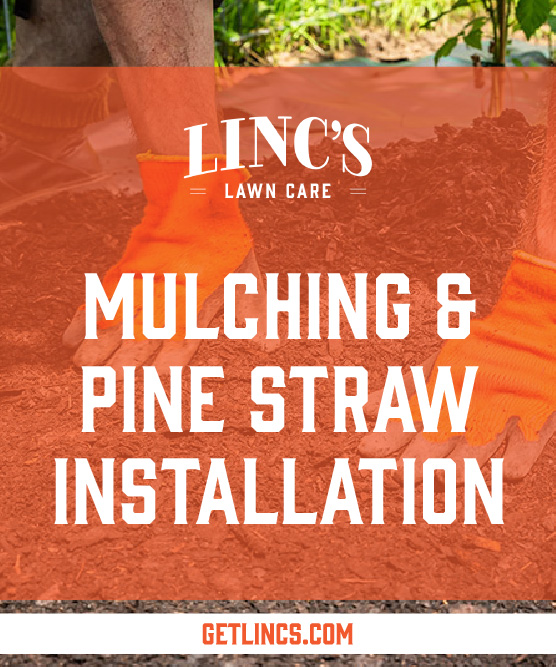 A person wearing orange gloves spreads mulch on the ground, showcasing LINCS Lawn Cares expertise. Overlaid text reads: Mulching & Pine Straw Installation for all seasons lawn maintenance. Visit GETLINCS.COM for more info.