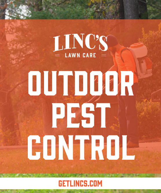 A person in protective gear uses a backpack sprayer on a lawn, showcasing all seasons lawn maintenance. Overlay text reads: Lincs Lawn Care, Outdoor Pest Control. Visit GETLINCS.COM at the bottom for more details.