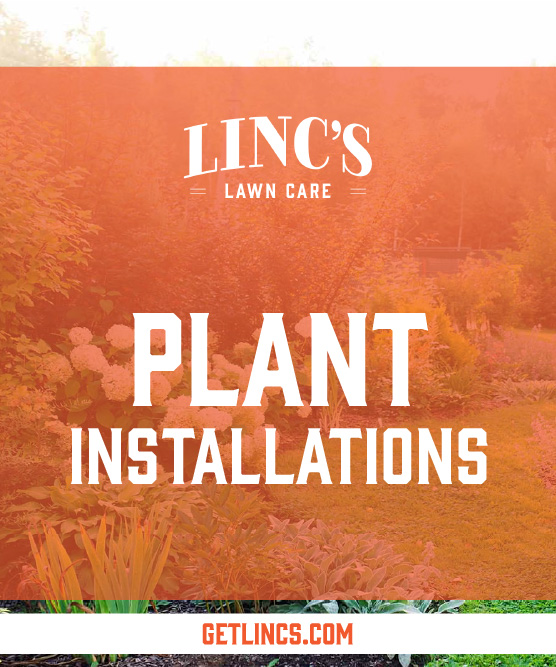A promotional image for Lincs Lawn Care showcases a vibrant garden scene flourishing in all seasons. Text overlay reads PLANT INSTALLATIONS, while GETLINCS.COM graces the bottom. The background is bathed in a warm, inviting orange tone.