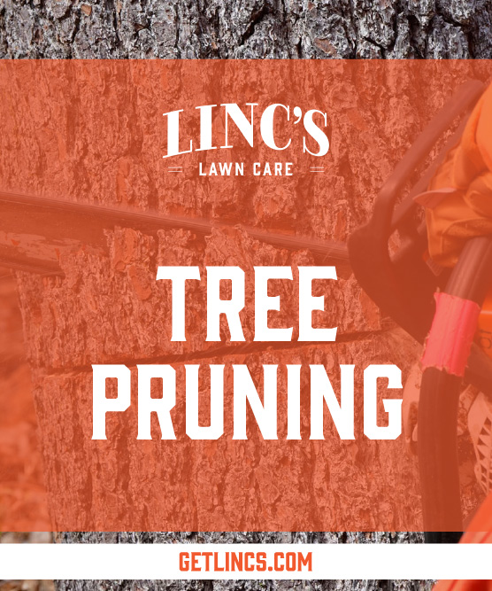 A tree trunk with a chainsaw partially visible cutting into it, showcasing all seasons lawn maintenance. The text Lincs Lawn Care and Tree Pruning is overlaid on an orange background. At the bottom, GETLINCS.COM is displayed.