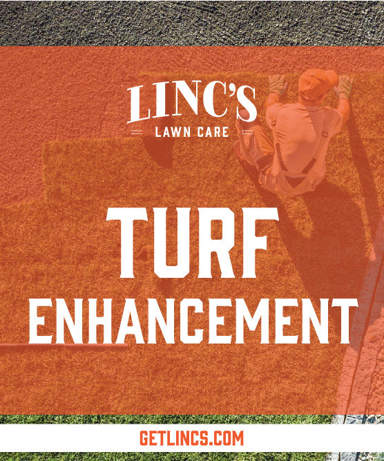 A person kneels on grass, placing a fresh patch. The image is overlaid with the text Lincs Lawn Care - All Seasons Lawn Maintenance and Turf Enhancement, along with a website link getlincs.com at the bottom.