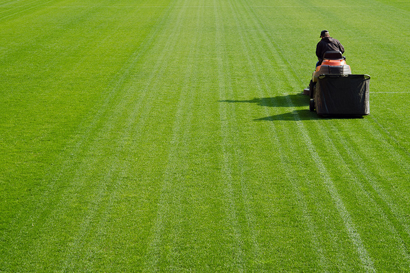 Person riding a lawnmower on a large, neatly striped green field, mowing the grass under bright sunlight with long shadows cast on the ground.
