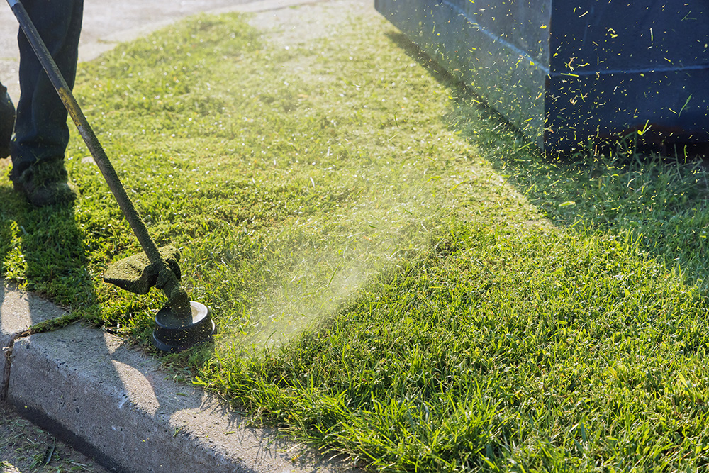 A person uses a string trimmer to edge and cut grass along a sidewalk and curb, with grass clippings visibly flying in the air.
